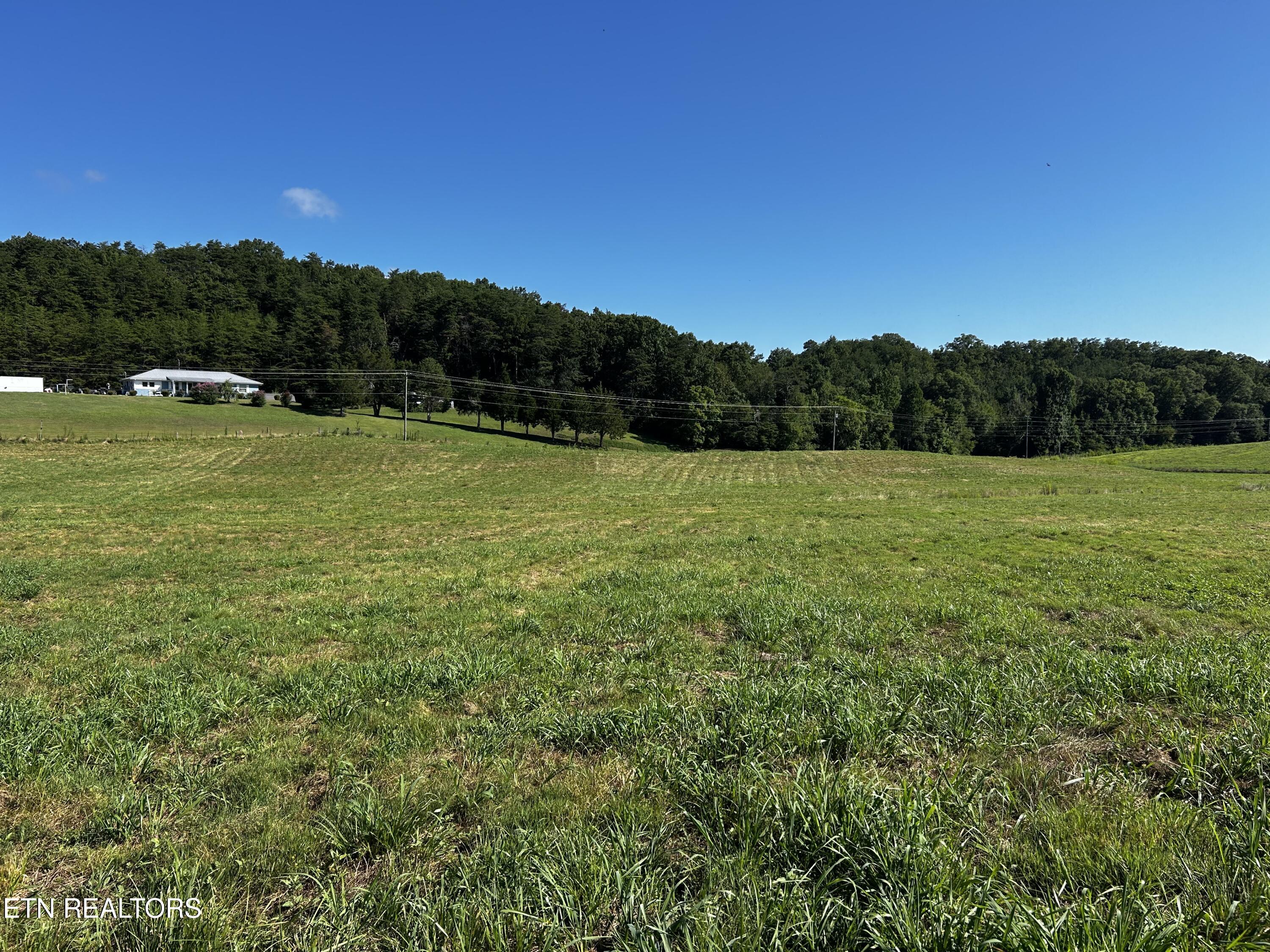 Lot 2 Reliance Road Tellico Plains, TN 37385 - Photo 2 of 2 IMG_6920