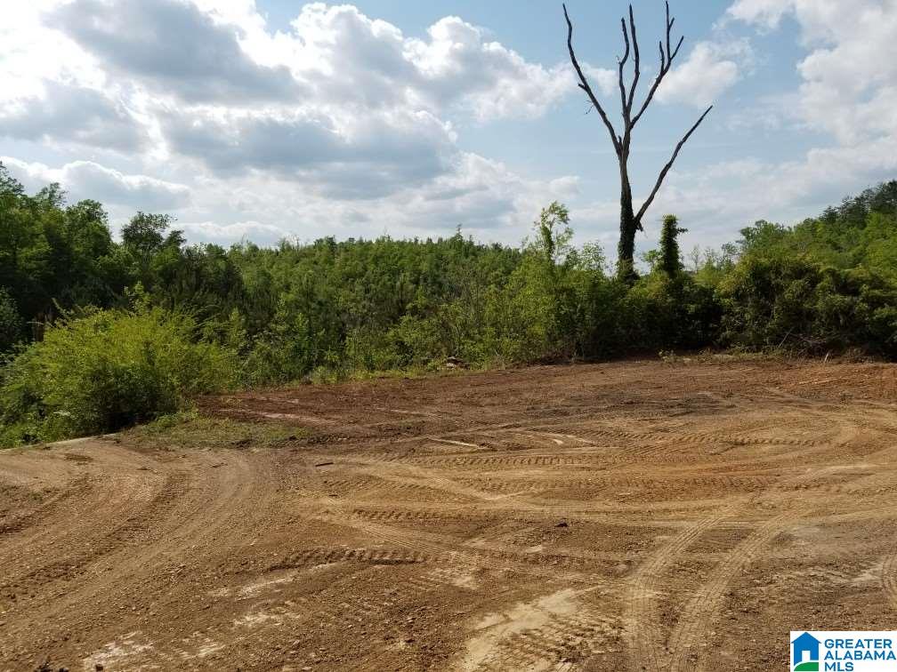 11465 Holt Peterson Road Tuscaloosa, AL 35404 - Photo 1 of 13