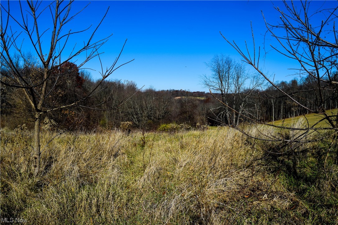 70068 Hopewell Road Kimbolton, OH 43749 - Photo 7 of 13 View of mother earth's splendor
