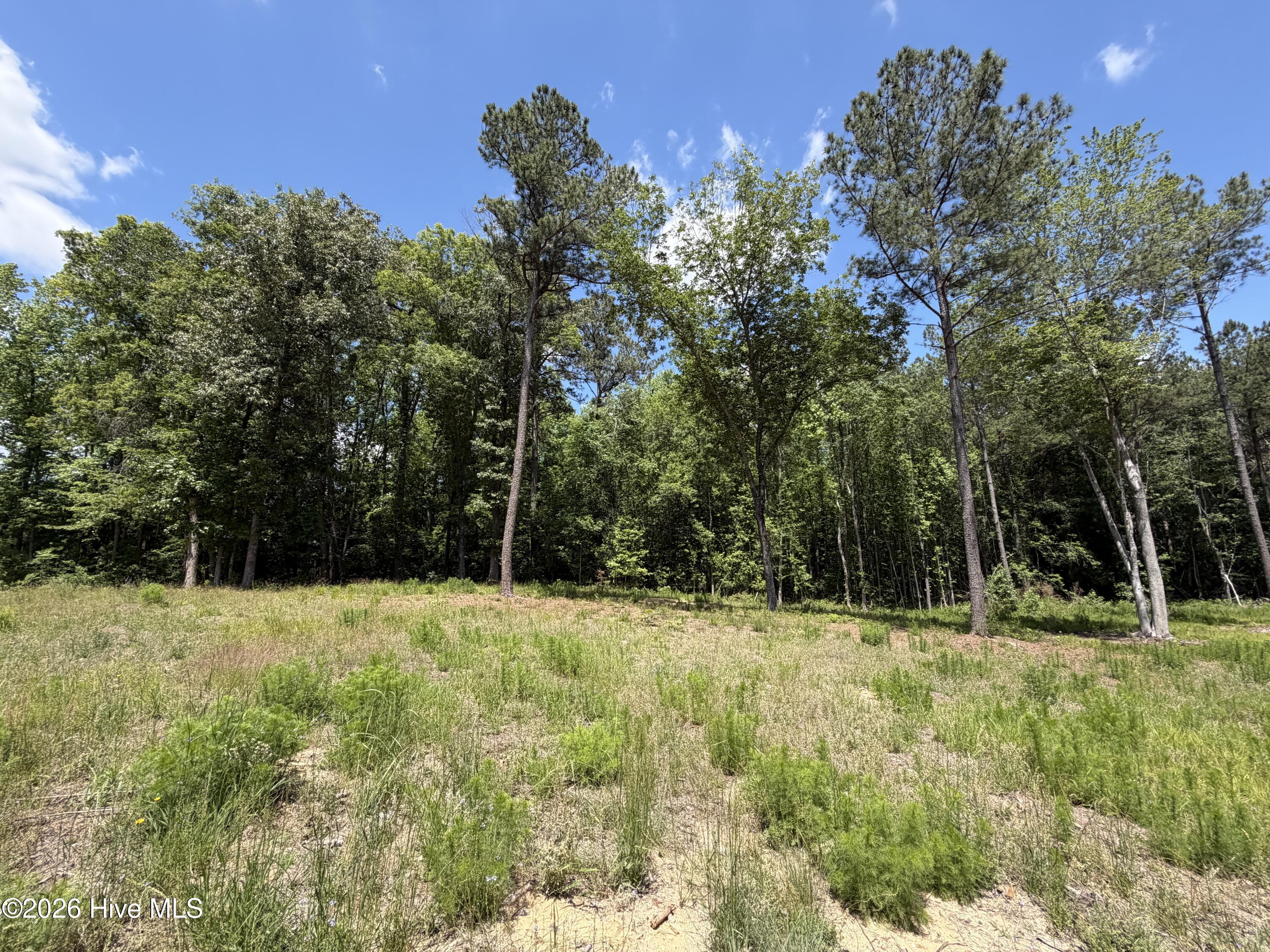 979 Aiken Road Vass, NC 28394 - Photo 21 of 26 979 Aiken Rd 21