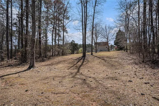 a view of a yard with trees