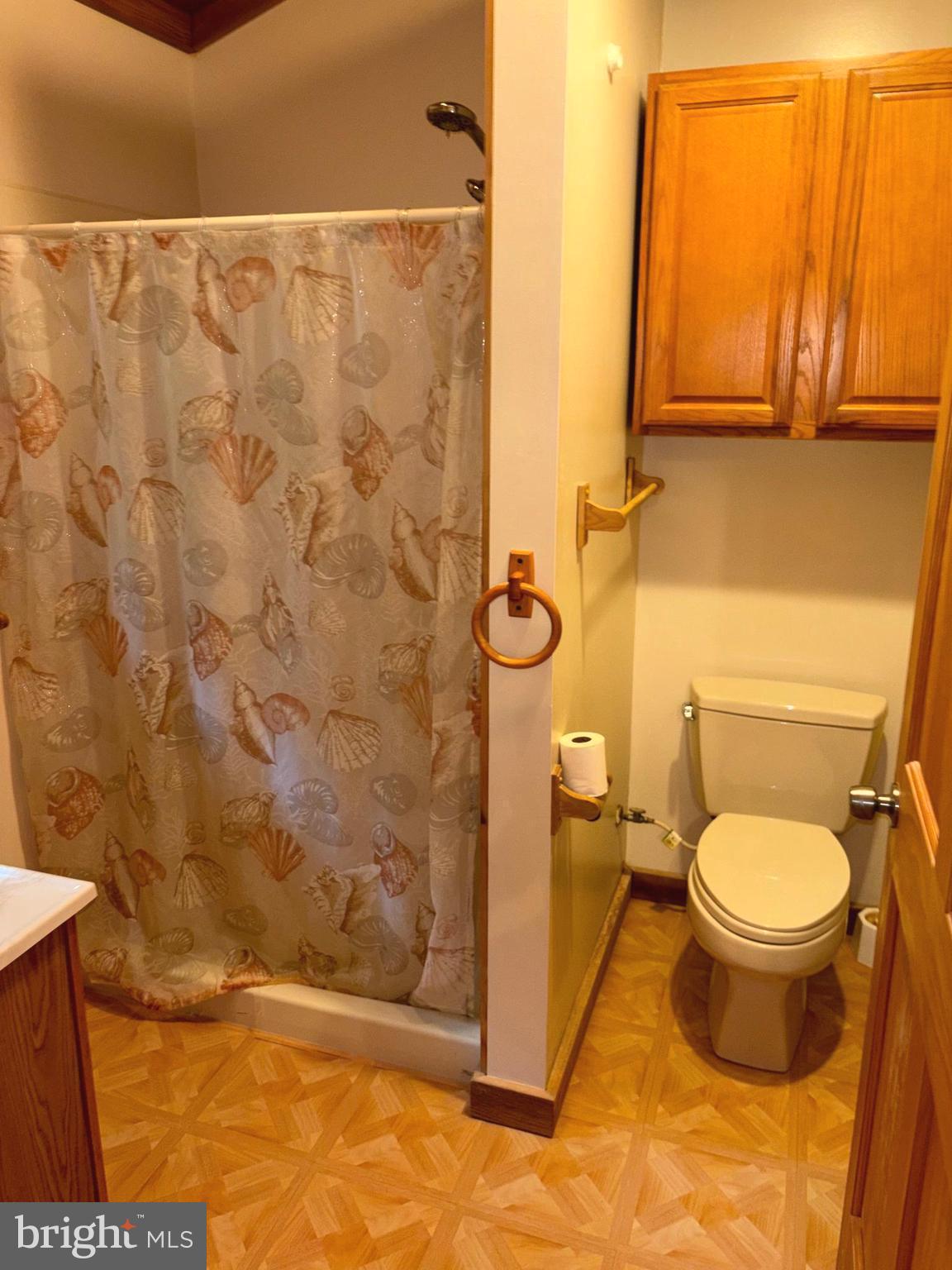 251 Riffey Mountain Lane Mathias, WV 26812 - Photo 20 of 33 Primary bedroom 1 with walk in shower