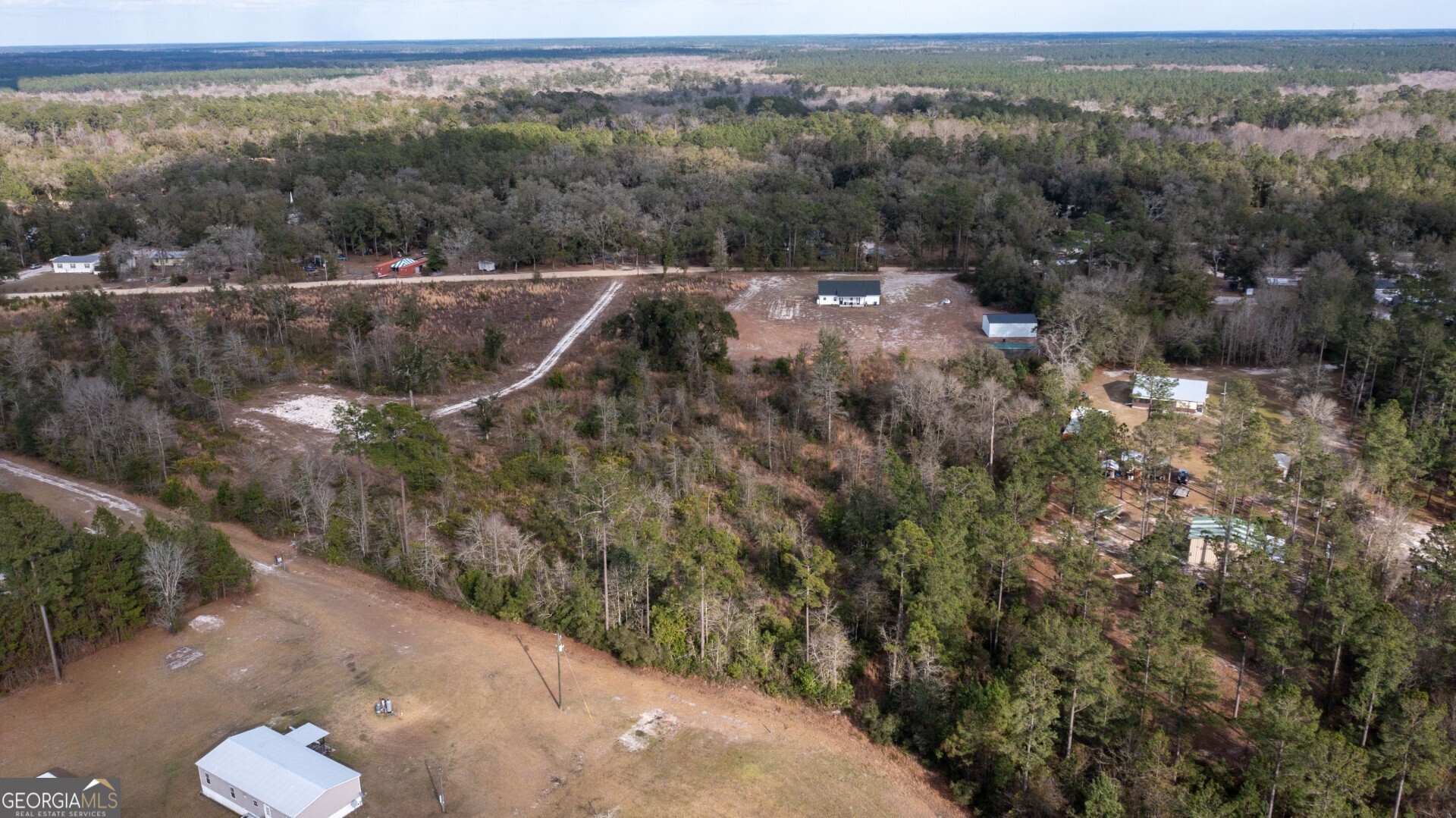 2 Highway 84 Whigham, GA 39897 - Photo 3 of 4