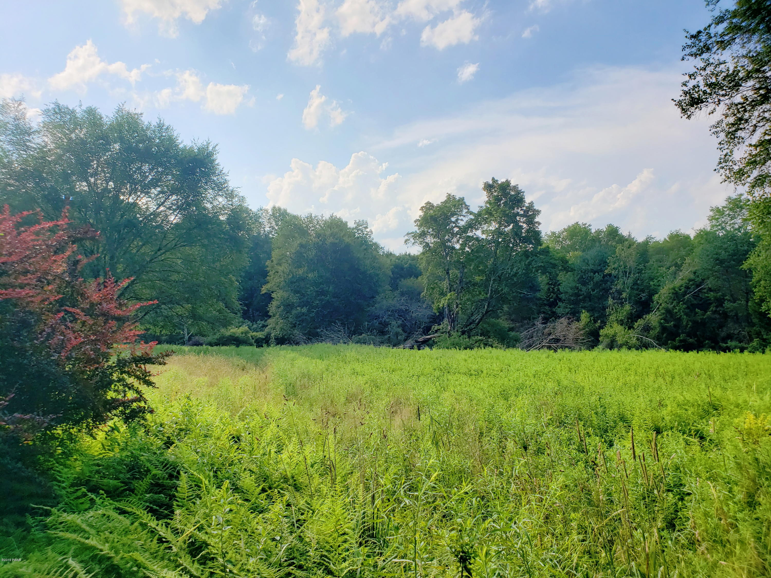 Burr Road Cochecton, NY 12726 - Photo 1 of 6