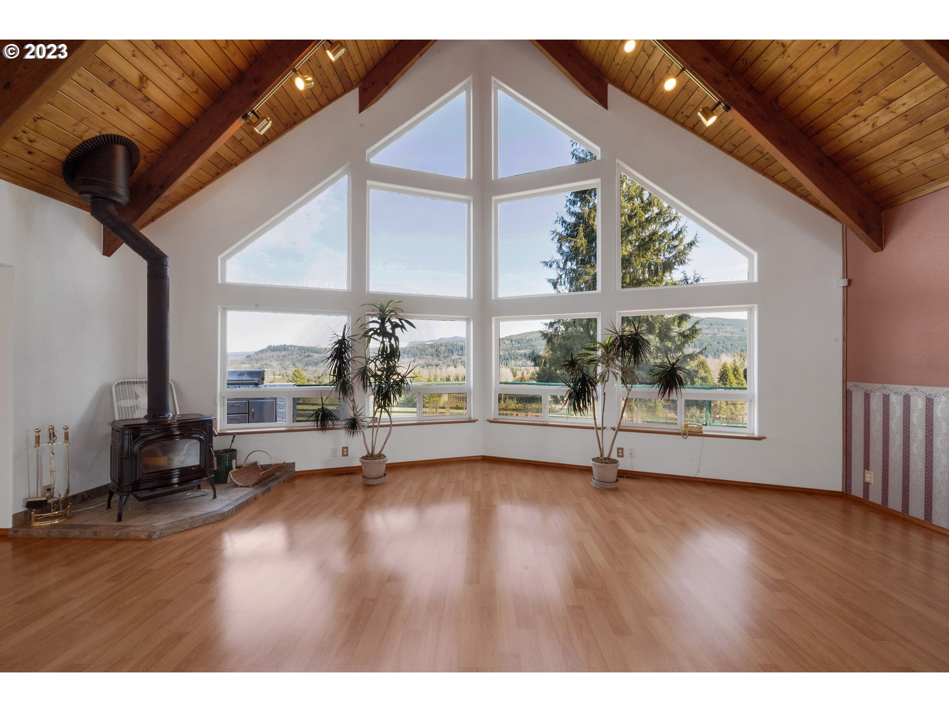224 Young Road Mossyrock, WA 98564 - Photo 12 of 31 Great Room