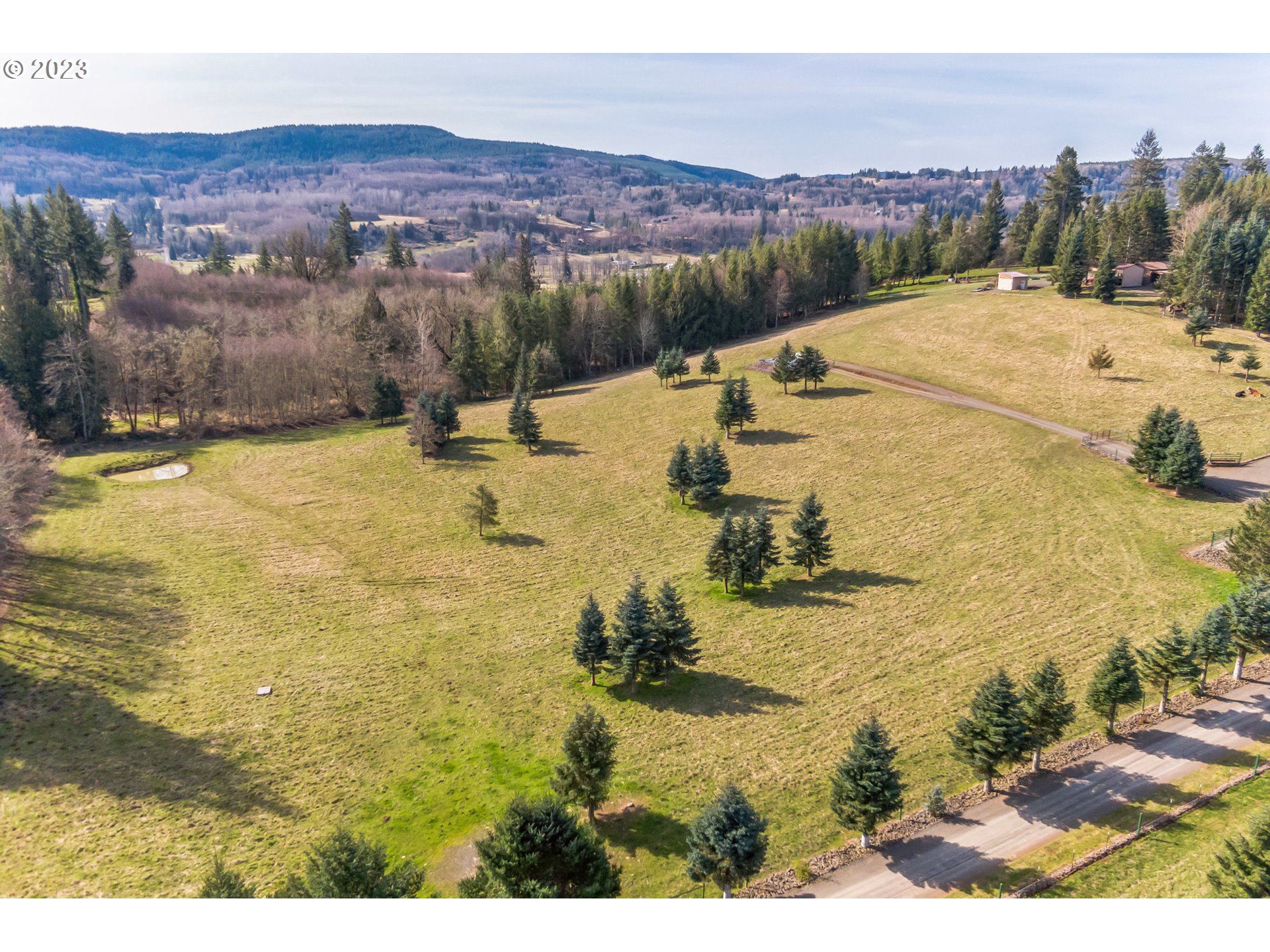 224 Young Road Mossyrock, WA 98564 - Photo 4 of 31 Gallery Image 4