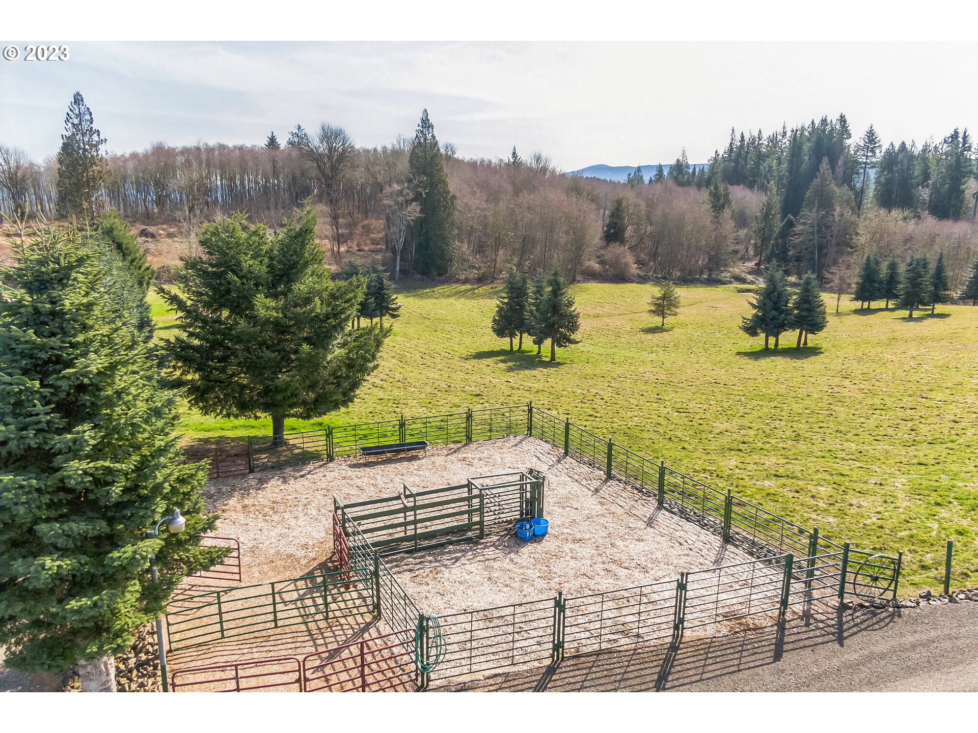 224 Young Road Mossyrock, WA 98564 - Photo 6 of 31 Gallery Image 6