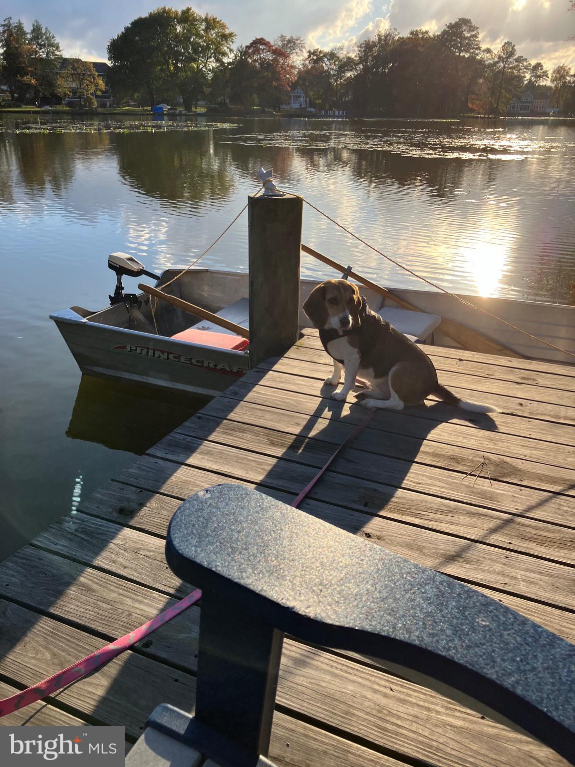 31394 Point Circle Lewes, DE 19958 - Photo 16 of 29 Great place to lie in the sun!