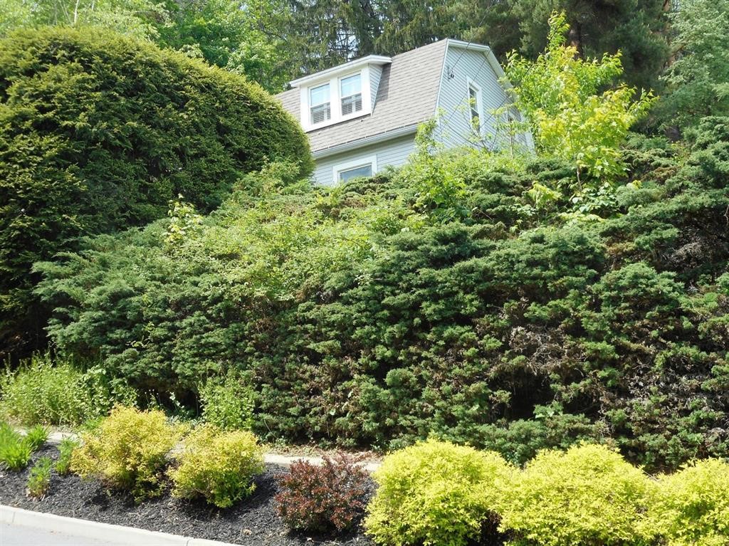 11 Cedar Street Oneonta, NY 13820 - Photo 3 of 42 Privacy to the max