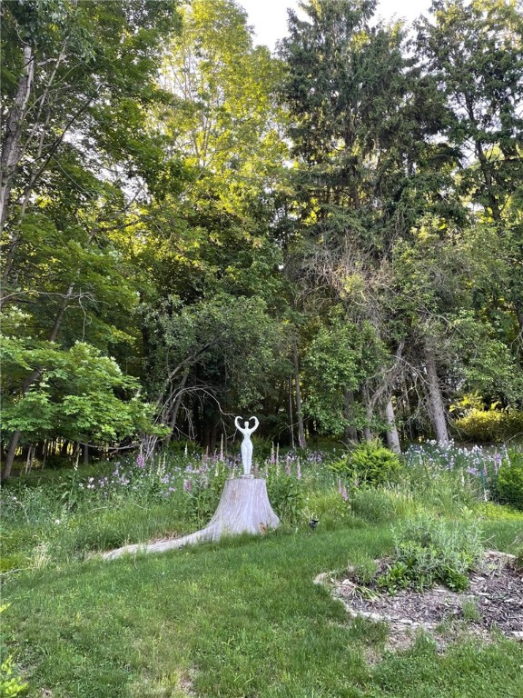 11 Cedar Street Oneonta, NY 13820 - Photo 35 of 42 FoxGlove