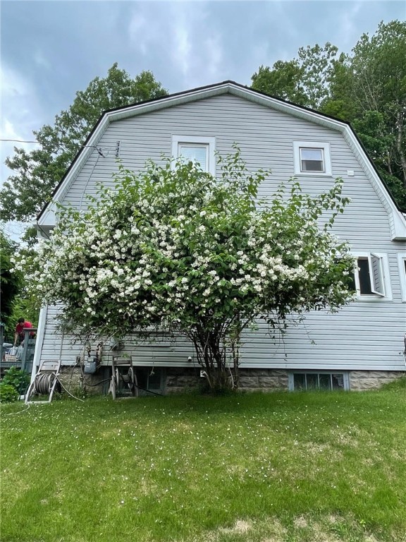 11 Cedar Street Oneonta, NY 13820 - Photo 36 of 42 Mock Orange Tree