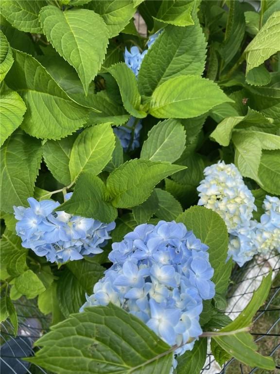 11 Cedar Street Oneonta, NY 13820 - Photo 37 of 42