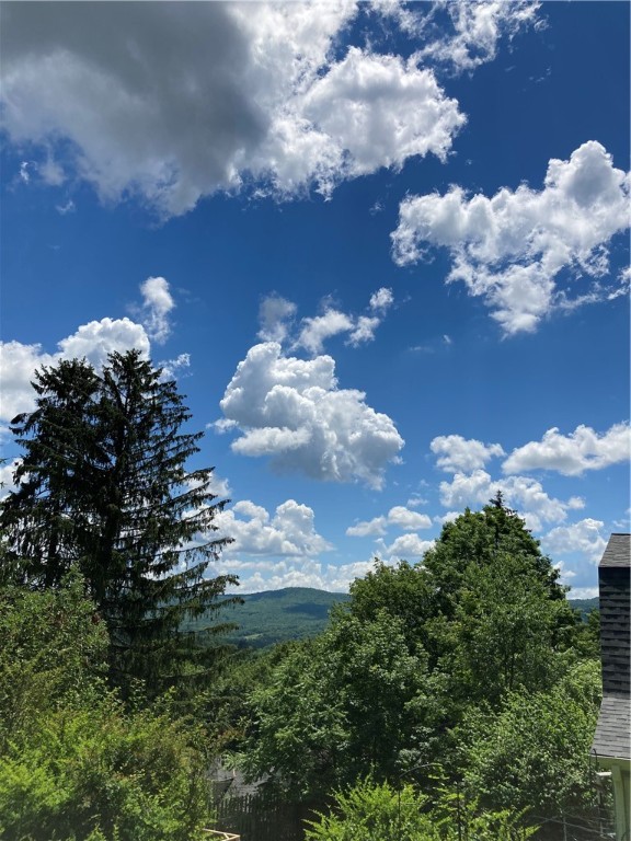 11 Cedar Street Oneonta, NY 13820 - Photo 8 of 42 City of the Hills View from the She Shed
