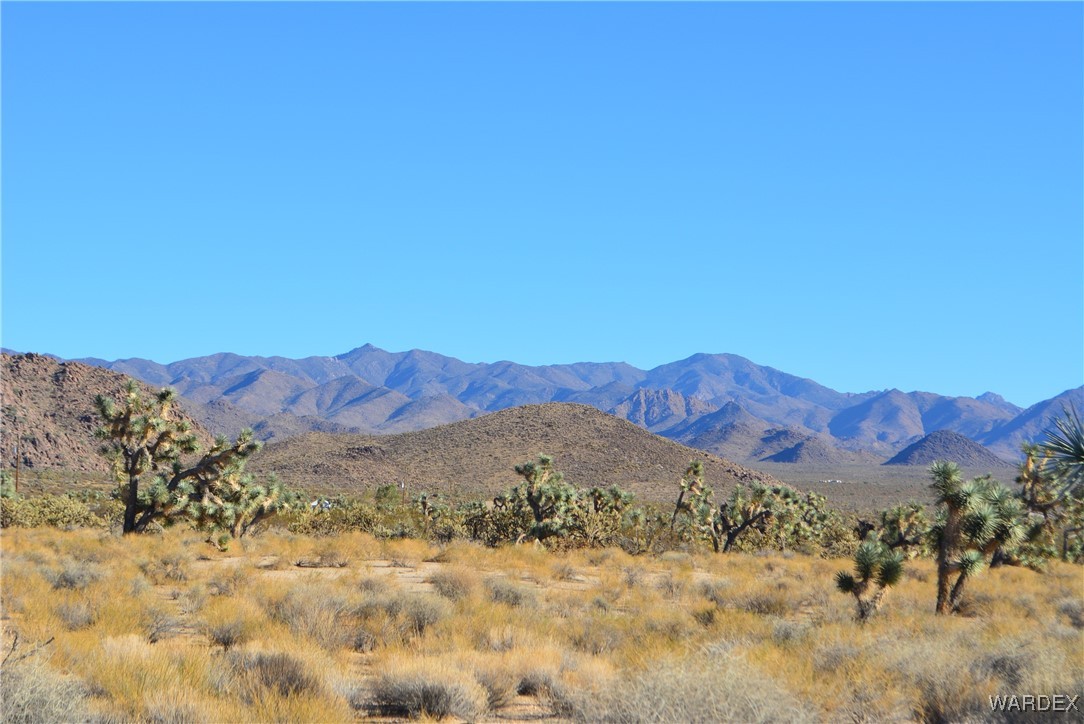 11900 Alan Road Yucca, AZ 86438 - Photo 11 of 99 View
