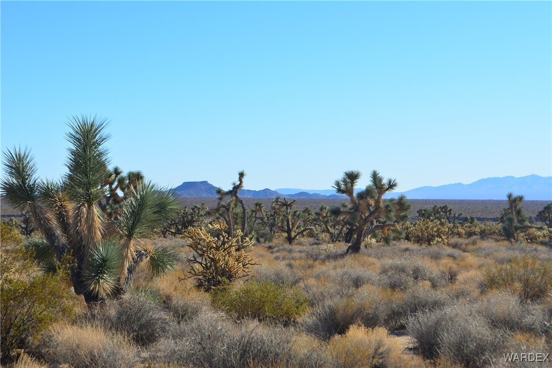 11900 Alan Road Yucca, AZ 86438 - Photo 14 of 99 Mohave Mountains