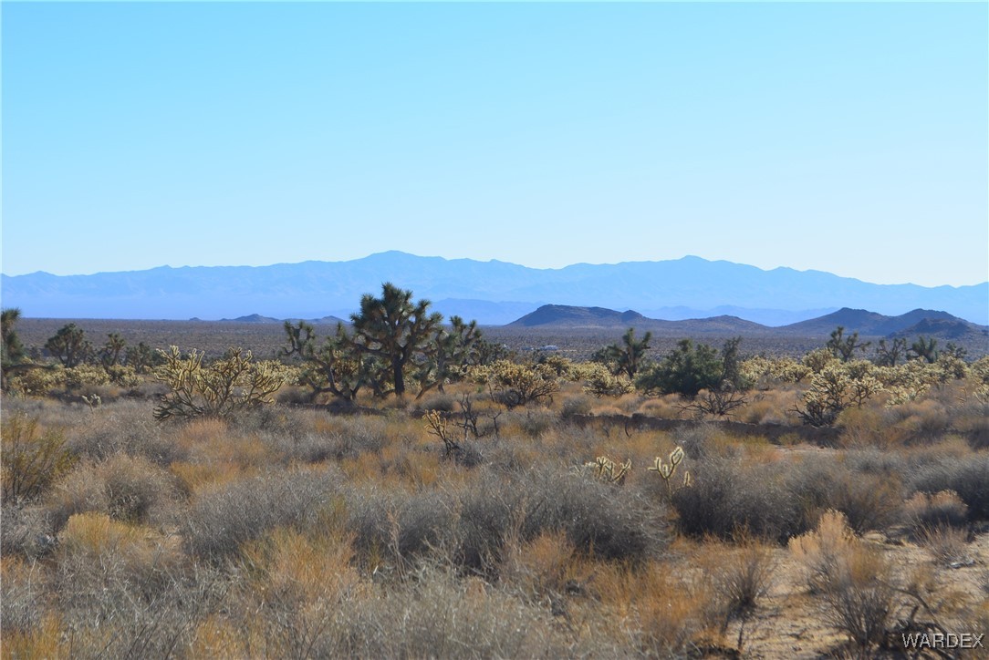 11900 Alan Road Yucca, AZ 86438 - Photo 16 of 99 Mohave Mountains