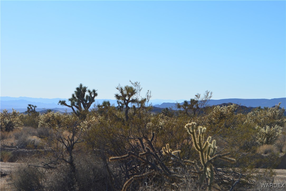 11900 Alan Road Yucca, AZ 86438 - Photo 18 of 99 View