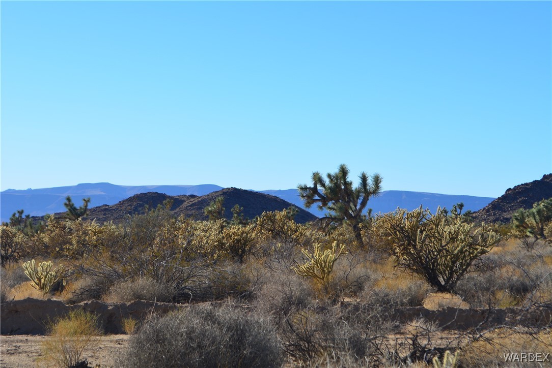 11900 Alan Road Yucca, AZ 86438 - Photo 20 of 99 Black Mountains
