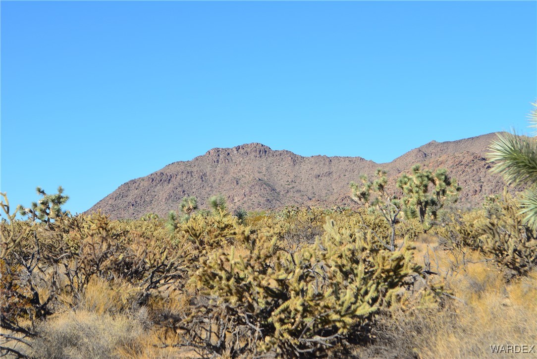 11900 Alan Road Yucca, AZ 86438 - Photo 2 of 99 Hualapai Mountains