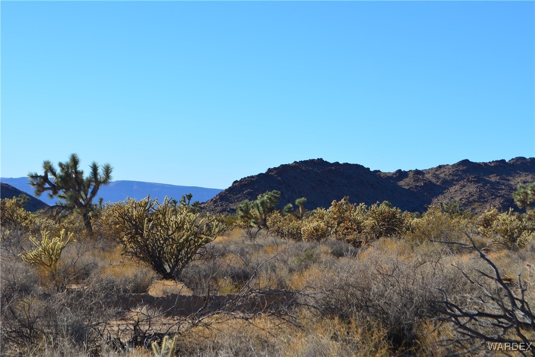 11900 Alan Road Yucca, AZ 86438 - Photo 21 of 99 Black Mountains