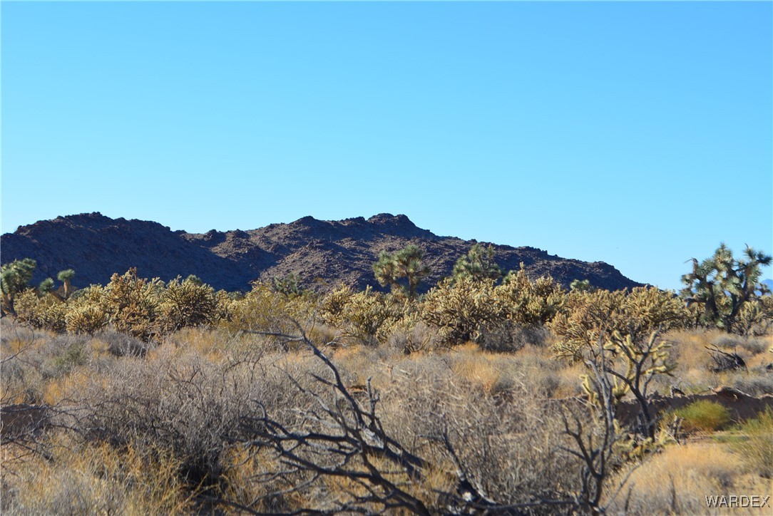 11900 Alan Road Yucca, AZ 86438 - Photo 22 of 99 View