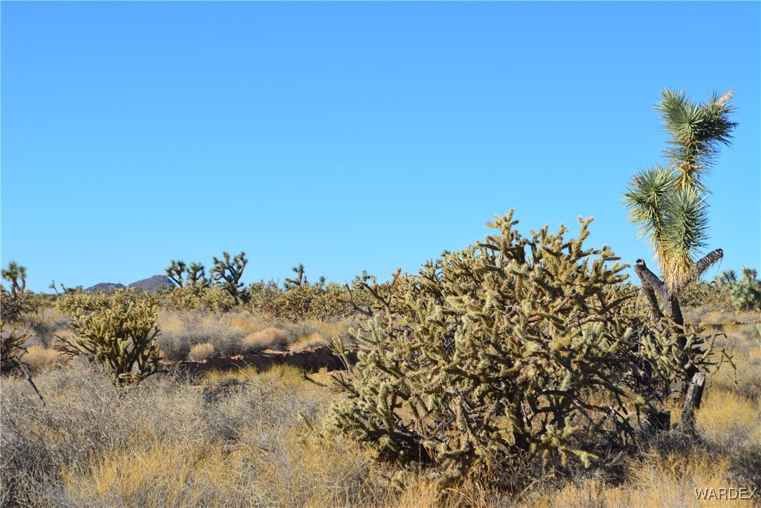 11900 Alan Road Yucca, AZ 86438 - Photo 24 of 99 Other
