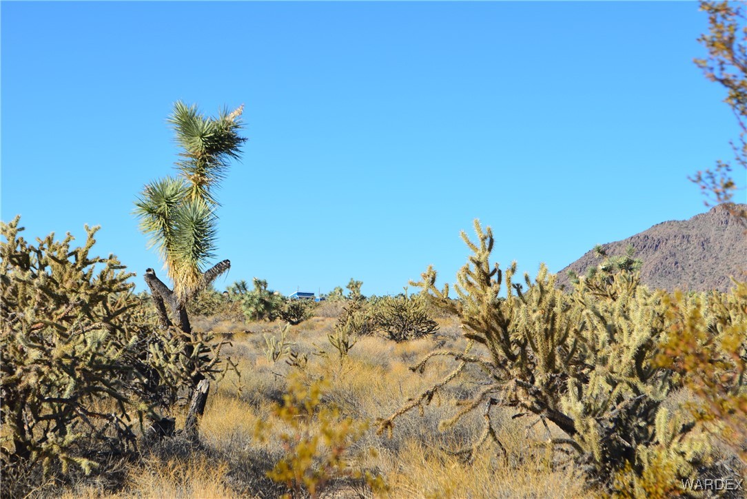 11900 Alan Road Yucca, AZ 86438 - Photo 25 of 99 View