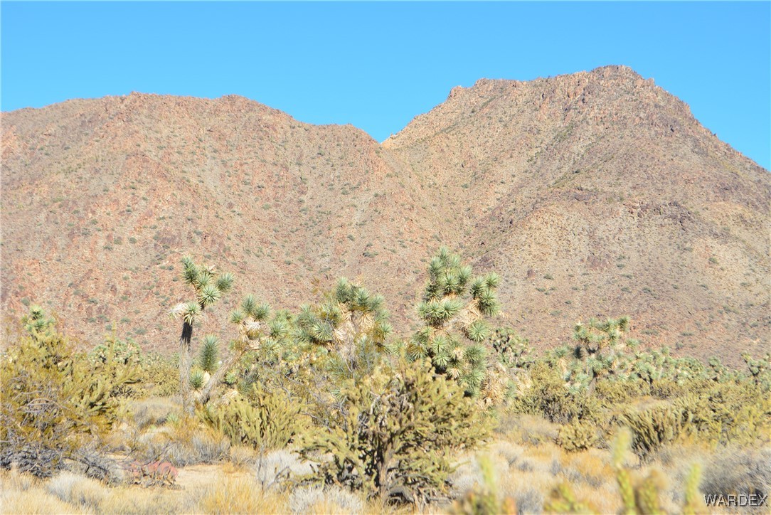 11900 Alan Road Yucca, AZ 86438 - Photo 26 of 99 View