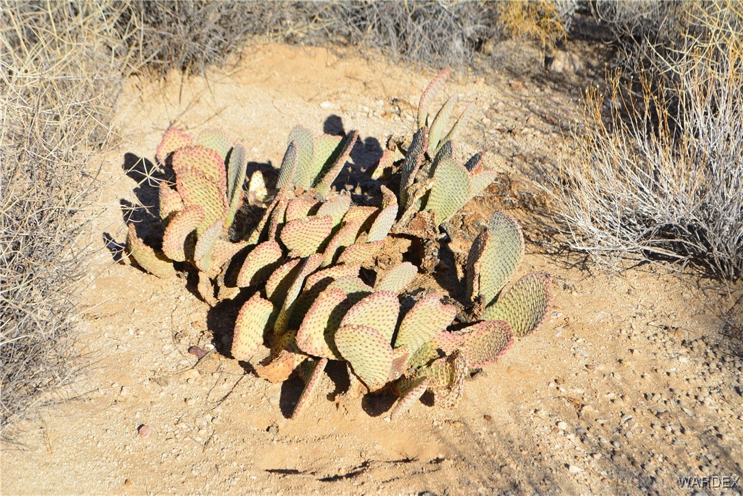 11900 Alan Road Yucca, AZ 86438 - Photo 27 of 99 Other