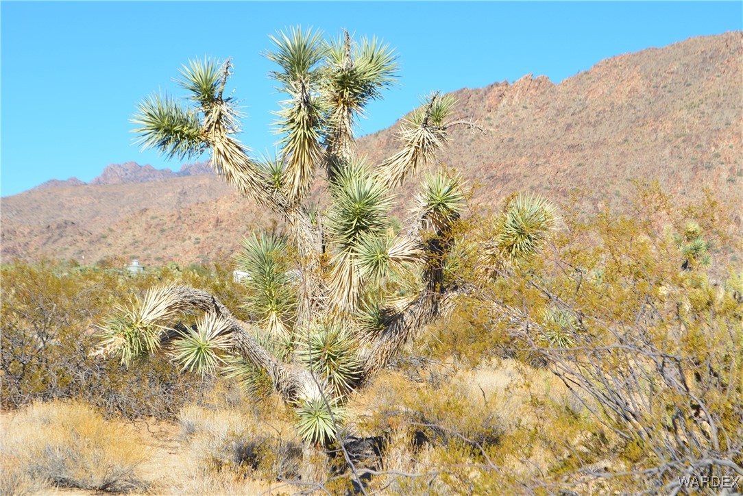 11900 Alan Road Yucca, AZ 86438 - Photo 28 of 99 View