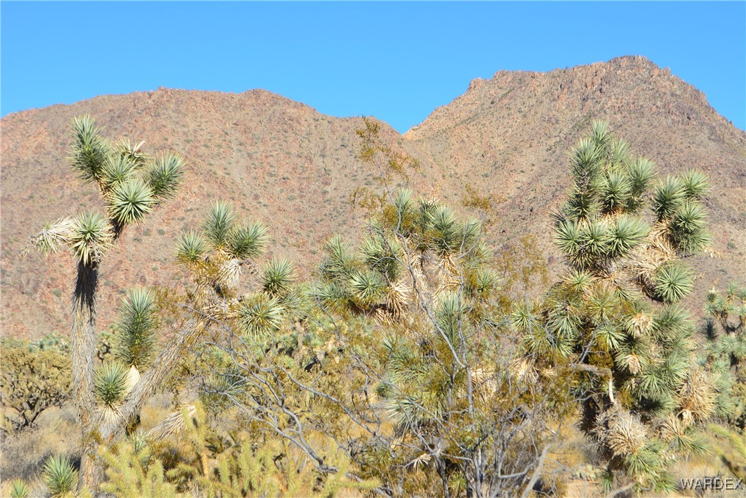 11900 Alan Road Yucca, AZ 86438 - Photo 29 of 99 View