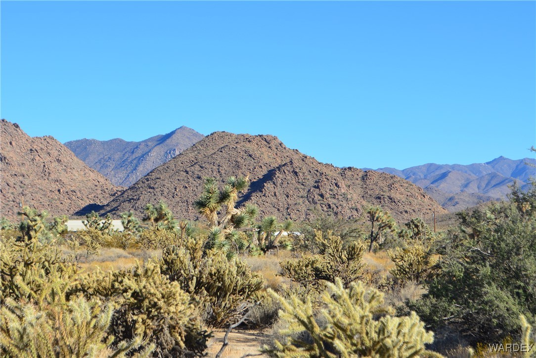 11900 Alan Road Yucca, AZ 86438 - Photo 30 of 99 View