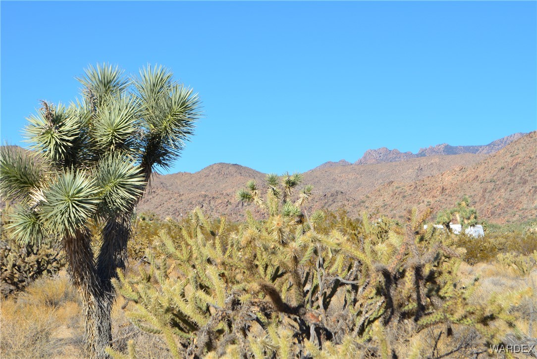 11900 Alan Road Yucca, AZ 86438 - Photo 3 of 99 Hualapai Mountains
