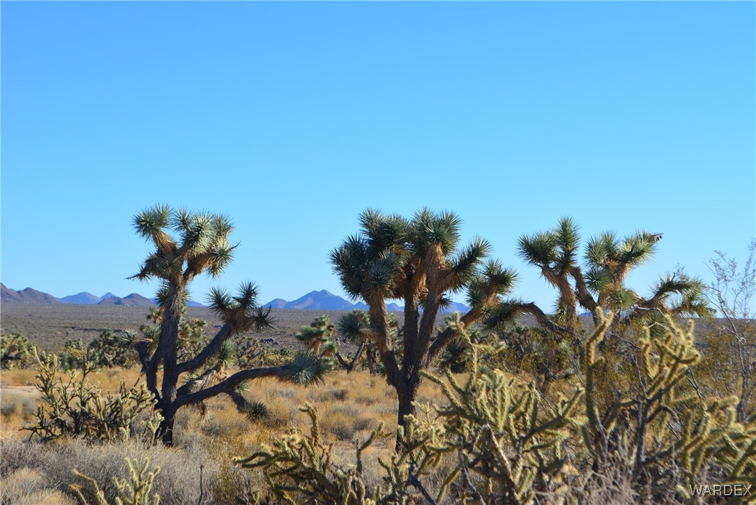 11900 Alan Road Yucca, AZ 86438 - Photo 32 of 99 View