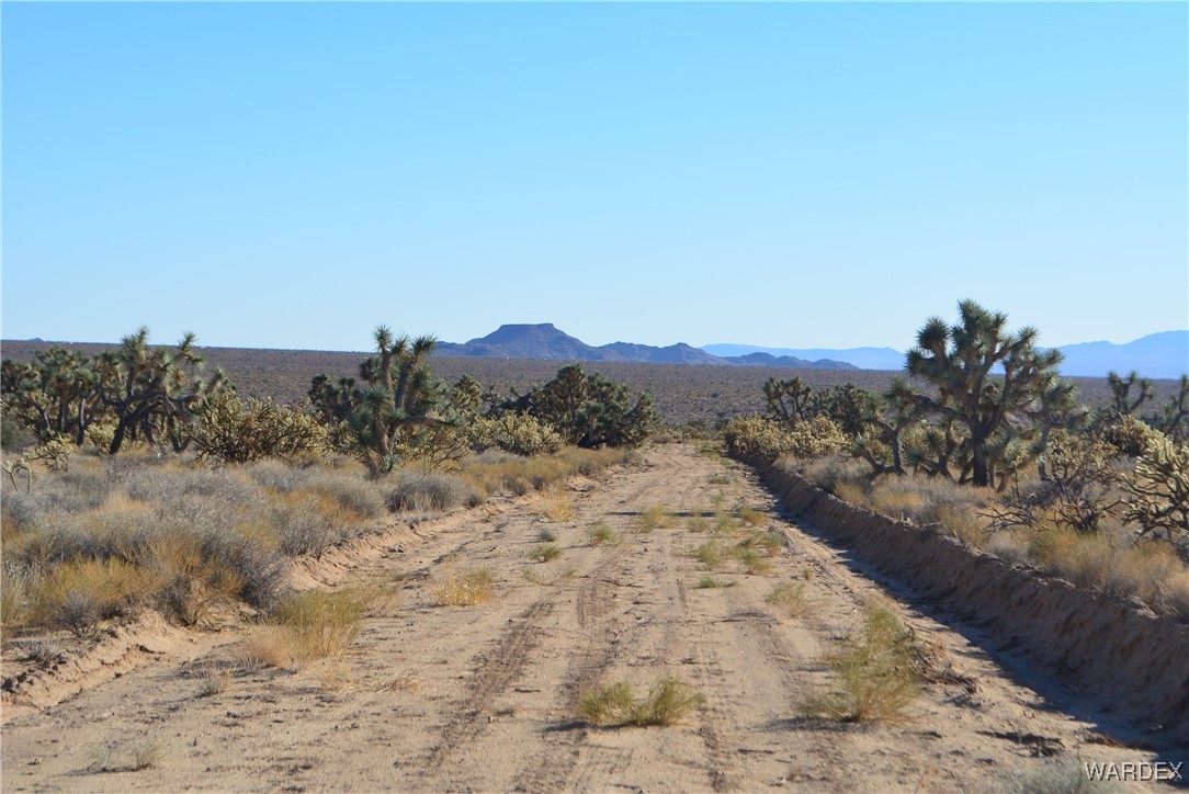 11900 Alan Road Yucca, AZ 86438 - Photo 33 of 99 View