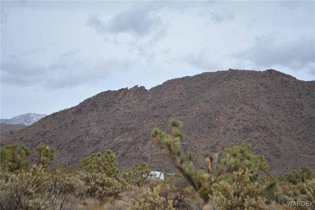 11900 Alan Road Yucca, AZ 86438 - Photo 45 of 99 View
