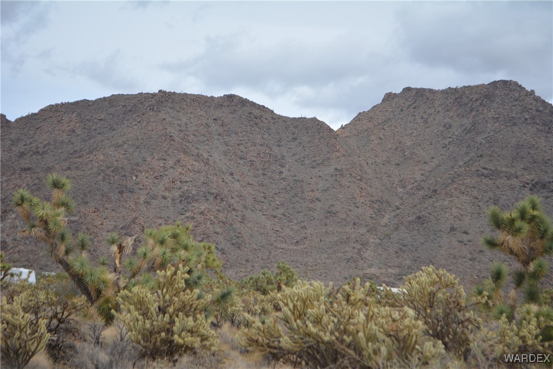 11900 Alan Road Yucca, AZ 86438 - Photo 46 of 99 View