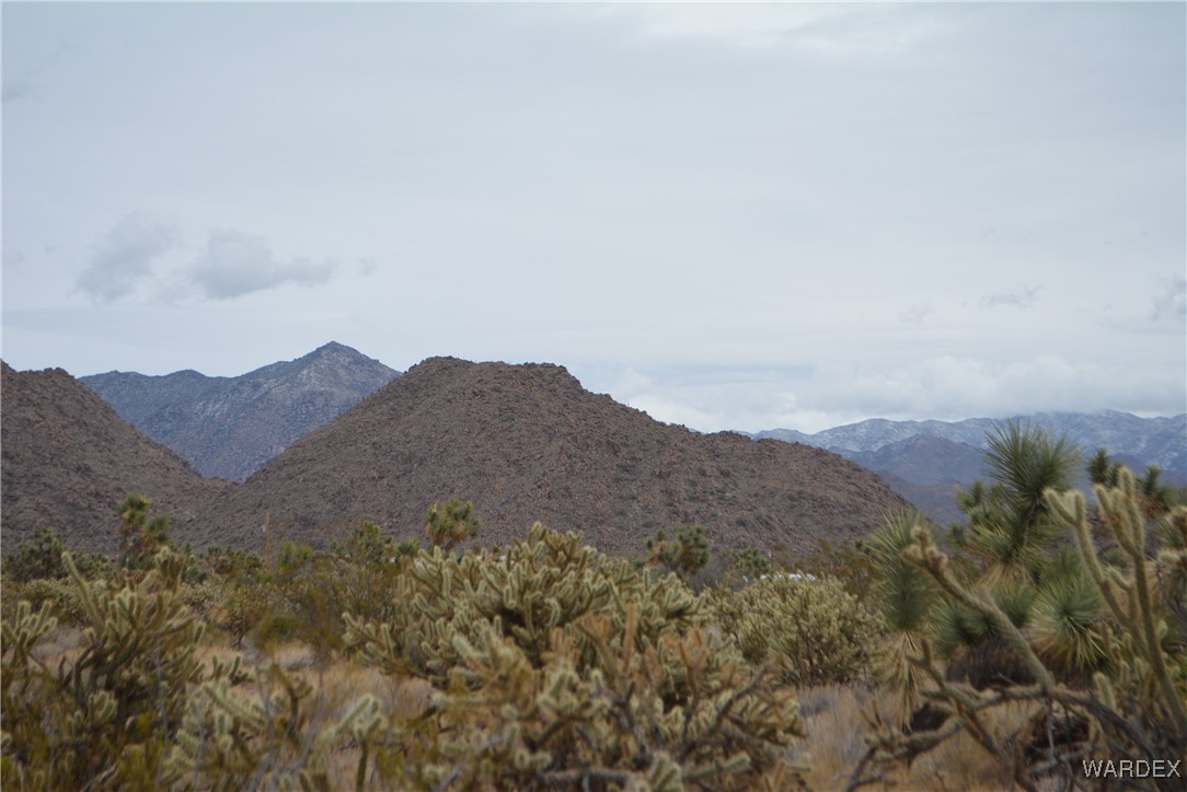 11900 Alan Road Yucca, AZ 86438 - Photo 47 of 99 View