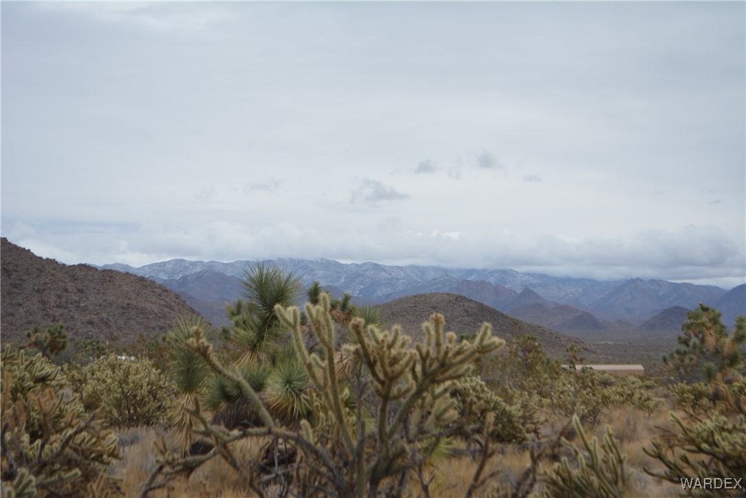 11900 Alan Road Yucca, AZ 86438 - Photo 48 of 99 View