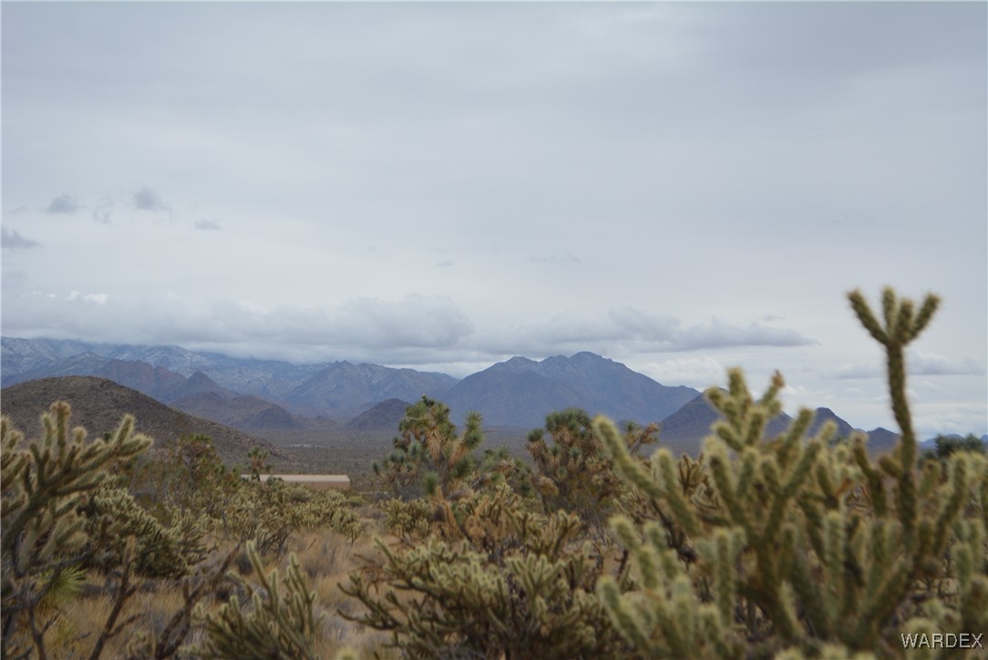 11900 Alan Road Yucca, AZ 86438 - Photo 49 of 99 View