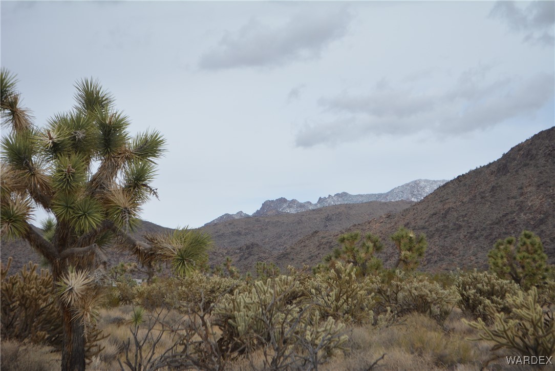 11900 Alan Road Yucca, AZ 86438 - Photo 50 of 99 View