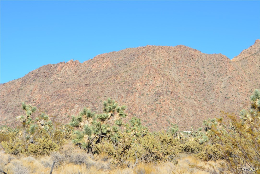 11900 Alan Road Yucca, AZ 86438 - Photo 5 of 99 Hualapai Mountains