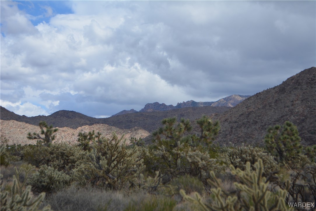 11900 Alan Road Yucca, AZ 86438 - Photo 53 of 99 View