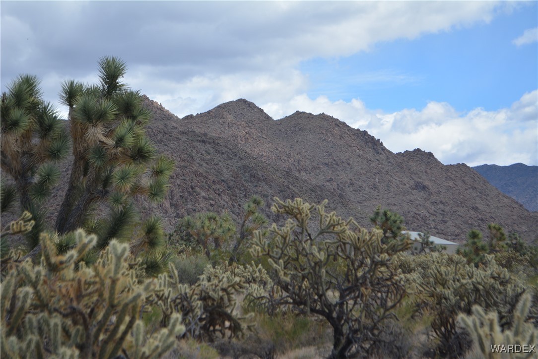 11900 Alan Road Yucca, AZ 86438 - Photo 57 of 99 View
