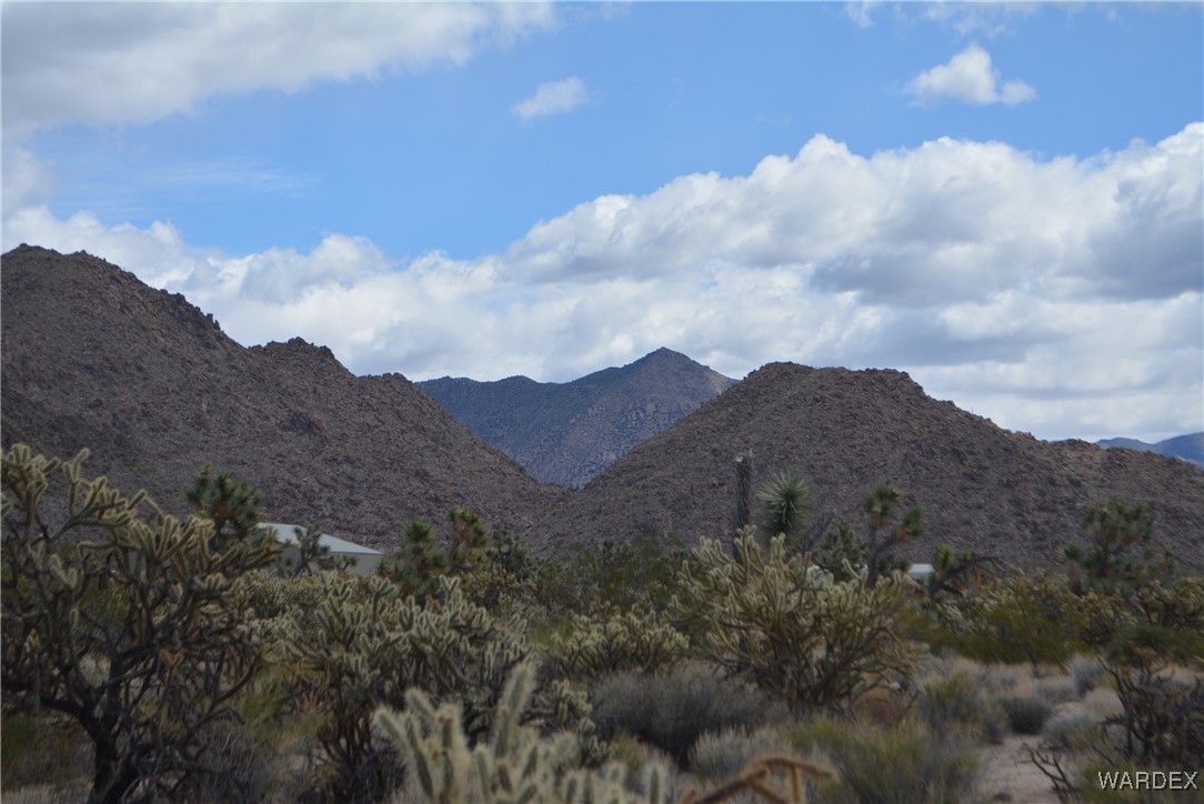 11900 Alan Road Yucca, AZ 86438 - Photo 58 of 99 View