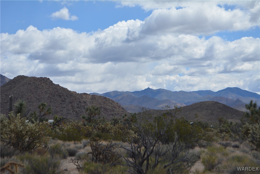 11900 Alan Road Yucca, AZ 86438 - Photo 59 of 99 View