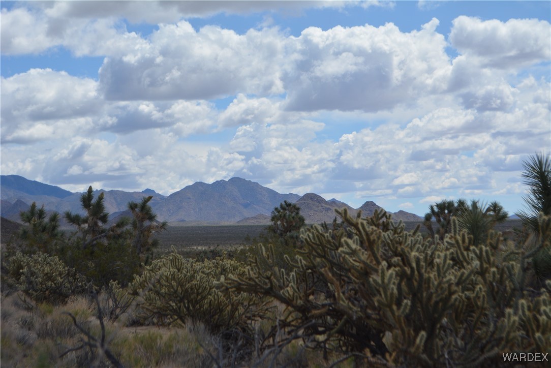 11900 Alan Road Yucca, AZ 86438 - Photo 61 of 99 View