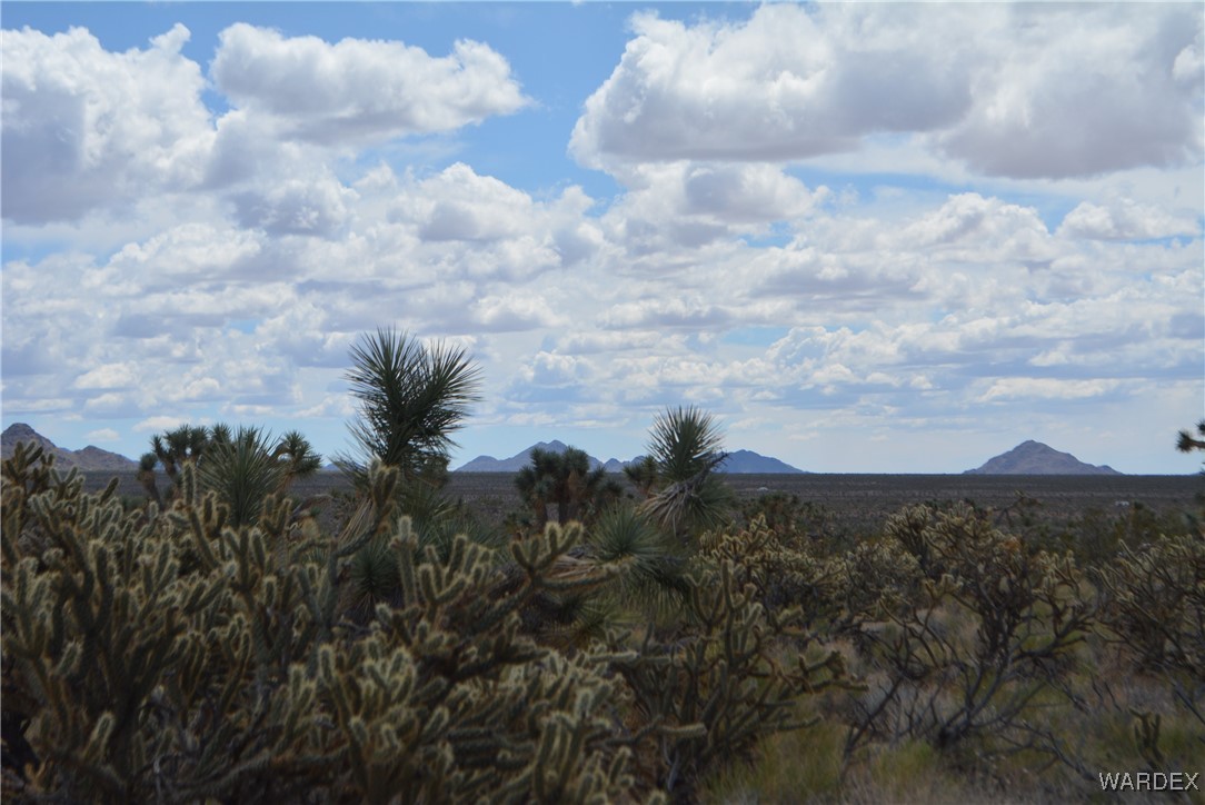 11900 Alan Road Yucca, AZ 86438 - Photo 62 of 99 View