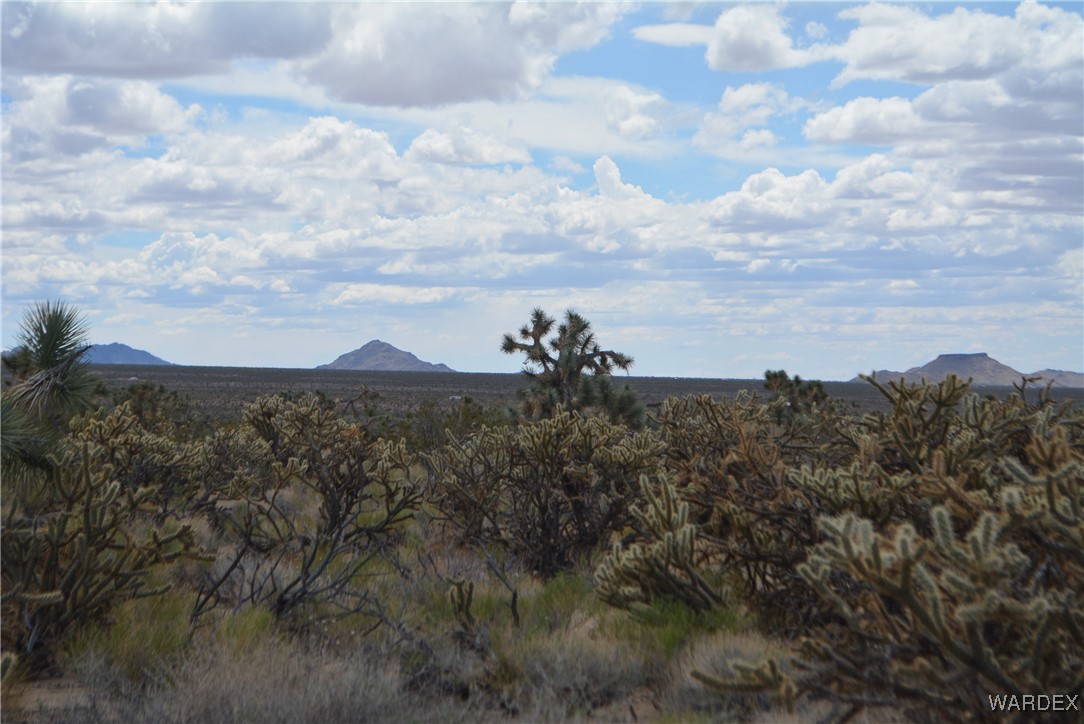 11900 Alan Road Yucca, AZ 86438 - Photo 63 of 99 View