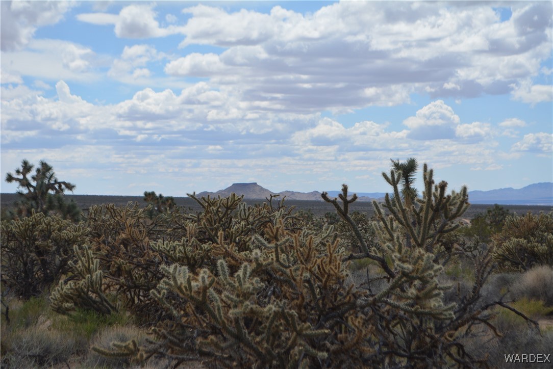 11900 Alan Road Yucca, AZ 86438 - Photo 64 of 99 View